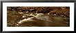 Stream On Rocks, May Beck, Littlebeck, North Yorkshire, England, United Kingdom by Panoramic Images Limited Edition Pricing Art Print