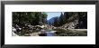 Mountain Behind Pine Trees, Tenaya Creek, Yosemite National Park, California, Usa by Panoramic Images Limited Edition Print