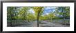 Two Lane Road, Napa Valley, California, Usa by Panoramic Images Limited Edition Print