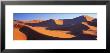 Namib Desert, Nambia, Africa by Panoramic Images Limited Edition Pricing Art Print