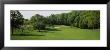 Trees On A Golf Course, Baltimore Country Club, Baltimore, Maryland, Usa by Panoramic Images Limited Edition Print