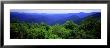 Smoky Mountain National Park, Tennessee, Usa by Panoramic Images Limited Edition Pricing Art Print