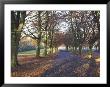 Clifton Downs, Bristol, England, United Kingdom by Charles Bowman Limited Edition Print