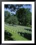 Arlington Cemetery, Arlington, Virginia, Usa by Jonathan Hodson Limited Edition Print