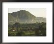 Fertile Plain With Little Farm And Typical Haystack Hills, Vinales, Cuba by Eitan Simanor Limited Edition Print