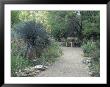 Tucson Botanical Gardens, Tucson, Arizona, Usa by Jamie & Judy Wild Limited Edition Print