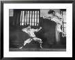 Japanese Karate Students Demonstrating Fighting by John Florea Limited Edition Print