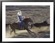 Cowboy Rides Horse In Calf-Roping Rodeo Competition, Big Timber, Montana, Usa by John & Lisa Merrill Limited Edition Print