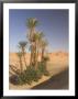 Erg Chebbi, Merzouga, Sahara Desert, Morocco, North Africa, Africa by Gavin Hellier Limited Edition Print