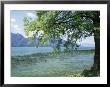 Lac Du Bourget, Near Aix Les Bains, Rhone Alpes, France by Michael Busselle Limited Edition Print