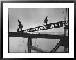 Steel Workers Above The Delaware River During Construction Of The Delaware Memorial Bridge by Peter Stackpole Limited Edition Print