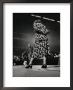 Woman Handler Showing Toy Poodle For Judge At Westminster Kennel Club Show At Madison Square Garden by Gjon Mili Limited Edition Print