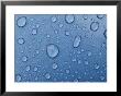 A Close-Up Of Water Droplets On A Surface by Todd Gipstein Limited Edition Print