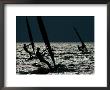 Windsurfing At Cape Hatteras National Seashore by Raymond Gehman Limited Edition Print