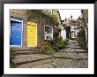 Yellow And Blue Doors On Houses In The Opening, Robin Hood's Bay, England by Pearl Bucknall Limited Edition Print