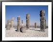 Toltec Statues, Tula, Mexico, North America by Adina Tovy Limited Edition Print