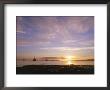 Udale Bay And Oil Rigs At Dawn, Ross-Shire by Iain Sarjeant Limited Edition Print