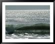 Waves At Sea Near Costa Rica by Paul Nicklen Limited Edition Pricing Art Print