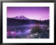 Reflection Lake With Summer Alpine Wildflowers, Mt. Rainier National Park, Washington, Usa by Stuart Westmoreland Limited Edition Print