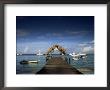 The Jetty, Pigeon Point, Tobago, West Indies, Caribbean, Central America by Julia Bayne Limited Edition Print