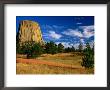 Devil's Tower National Monument, Devils Tower National Monument, Wyoming, Usa by Carol Polich Limited Edition Pricing Art Print