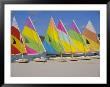 Sail Boats On The Beach, St. James Club, Antigua, Caribbean, West Indies, Central America by J Lightfoot Limited Edition Print