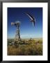A Hang Glider Swoops Low Over An Old Windmill by Skip Brown Limited Edition Pricing Art Print