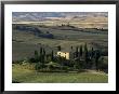 Farmhouse And Cypress Tres In The Earning Morning, San Quirico D'orcia, Tuscany, Italy by Ruth Tomlinson Limited Edition Pricing Art Print