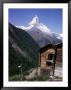 Matterhorn, 4477M High, Seen From Findelen, Zermatt Valley, Swiss Alps, Switzerland by Tony Waltham Limited Edition Pricing Art Print