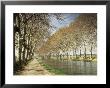 The Canal Du Midi, Near Capestang, Languedoc Roussillon, France by Michael Busselle Limited Edition Print
