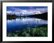 Fly Fishing In Yellowstone River, Yellowstone National Park, Usa by John Elk Iii Limited Edition Print