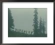Silhouette Of Girl Scouts Hiking Along A Mountain Trail In The Fog by B. Anthony Stewart Limited Edition Pricing Art Print
