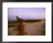 A Woman Runs Down A Dirt Road In Baja, Mexico At Sunset by Jimmy Chin Limited Edition Pricing Art Print