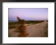 A Woman Runs Down A Dirt Road In Baja, Mexico At Sunset by Jimmy Chin Limited Edition Print