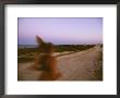 A Woman Runs Down A Dirt Road In Baja, Mexico At Sunset by Jimmy Chin Limited Edition Print