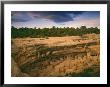 Ruins Of Cliff Palace Built By Pueblo Indians, Mesa Verde National Park, Colorado, Usa by Dennis Flaherty Limited Edition Print