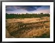 Ruins Of Cliff Palace Built By Pueblo Indians, Mesa Verde National Park, Colorado, Usa by Dennis Flaherty Limited Edition Print