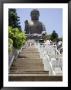 Steps Leading Up To Tian Tan Buddha Statue, Hong Kong, China by Greg Elms Limited Edition Print