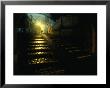 Silhouetted Person Walking Up Lamp-Lit Cobblestone Street, Sighisoara, Romania by David Greedy Limited Edition Print