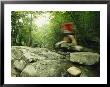 Panned View Of Man Leaping Over Rocky Stream On The Appalachian Trail by Skip Brown Limited Edition Print
