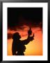 Silhouette Of Hula Dancer On Waikiki Beach At Sunset, Waikiki, U.S.A. by Ann Cecil Limited Edition Print