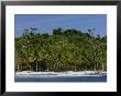 Heavily Palm-Tree Forested Mentawai Islands, Indonesia by Paul Kennedy Limited Edition Print