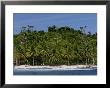 Heavily Palm-Tree Forested Mentawai Islands, Indonesia by Paul Kennedy Limited Edition Print