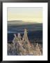 Winter Scenic On Mountain Top, Evergreens In Snow by Norbert Rosing Limited Edition Pricing Art Print