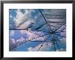 Abstract Cumulus Clouds Seen Through A Sun Umbrella In Marin County, California by Keenpress Limited Edition Print
