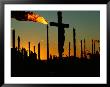 A Crucifix Is Silhouetted Against Refinery Stacks by Sam Kittner Limited Edition Print