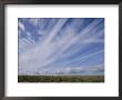 Clouds Fill The Sky Above A Wyoming Prairie by Joel Sartore Limited Edition Print