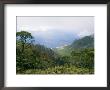 Kalalau Trail View by Roy Toft Limited Edition Pricing Art Print