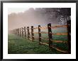 Split-Rail Fence In The Early Morning Mist by Richard Nowitz Limited Edition Print