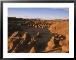 Hoodoos Cover The Landscape Of Goblin Valley State Park, Utah by Michael S. Lewis Limited Edition Print